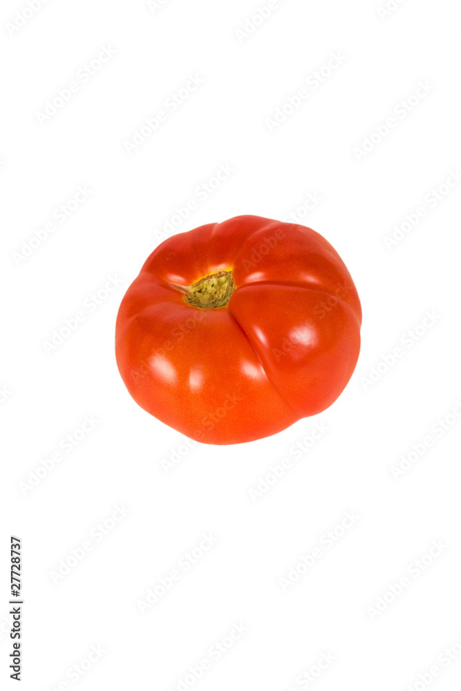 tomato isolated on white background tomato isolated on white background