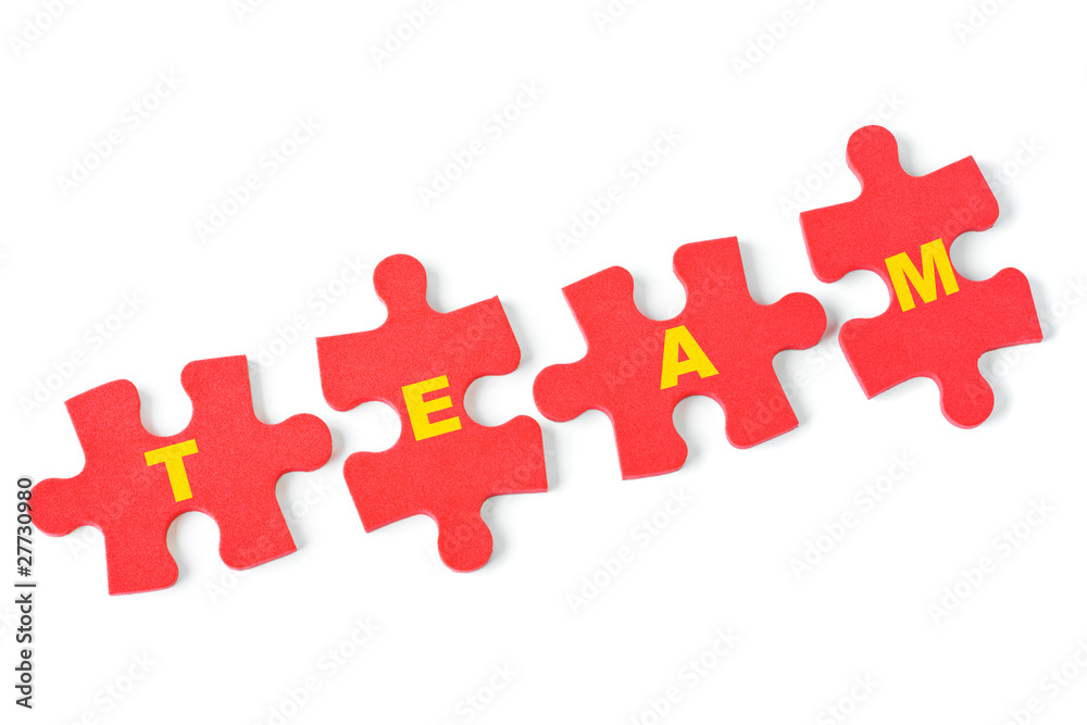 Puzzle Team Puzzle Team