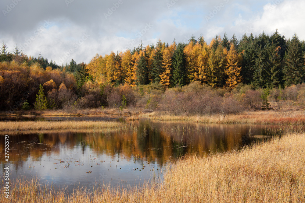 Lyn Ty n-y-mynydd Reservoir