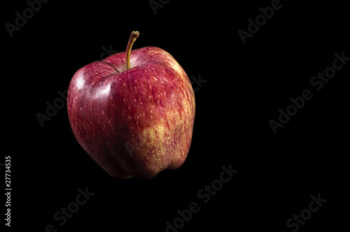One red apple on black
