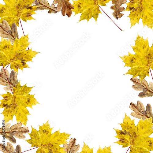 Mapple and Oak leaves in Autumn-close