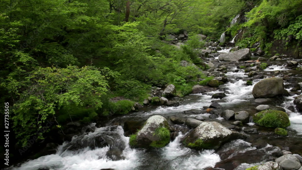 新緑の川 新緑の川