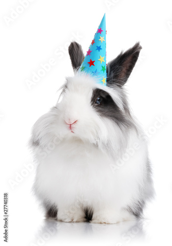Cute rabbit with a birthday hat on