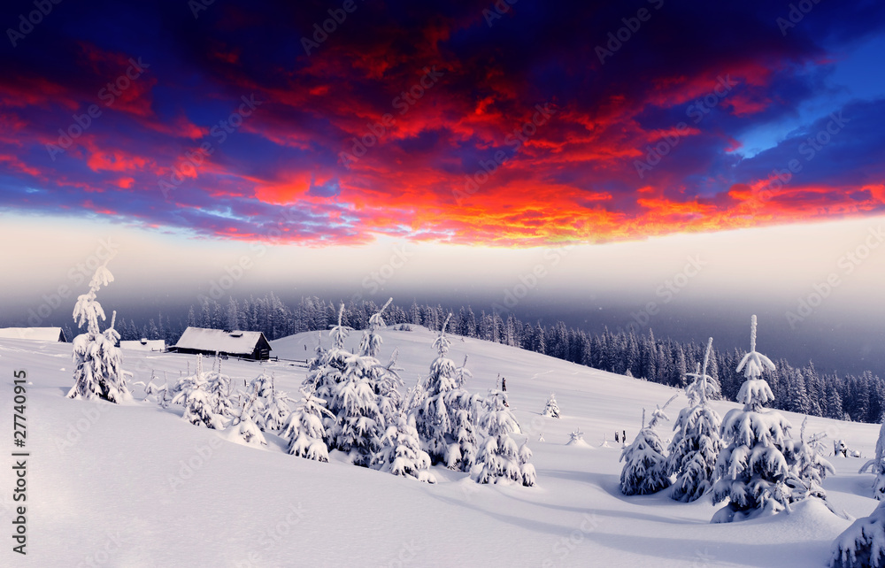 winter landscape winter landscape