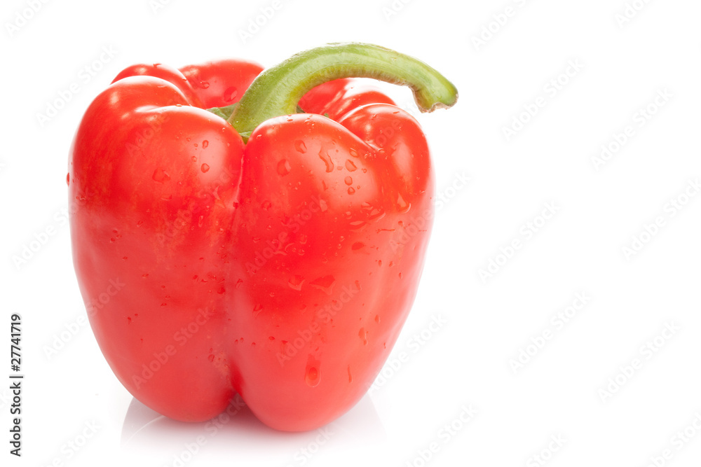 Perfect wet red paprika on white background Perfect wet red paprika on white background