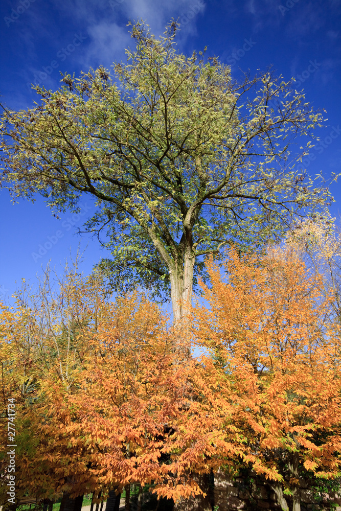 autunno autunno