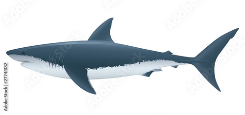 Great White Shark.  Full compatible. Created with gradients. 