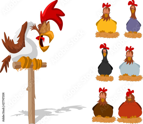 Rooster and with chickens sleeping