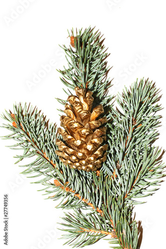 Golden pine cone