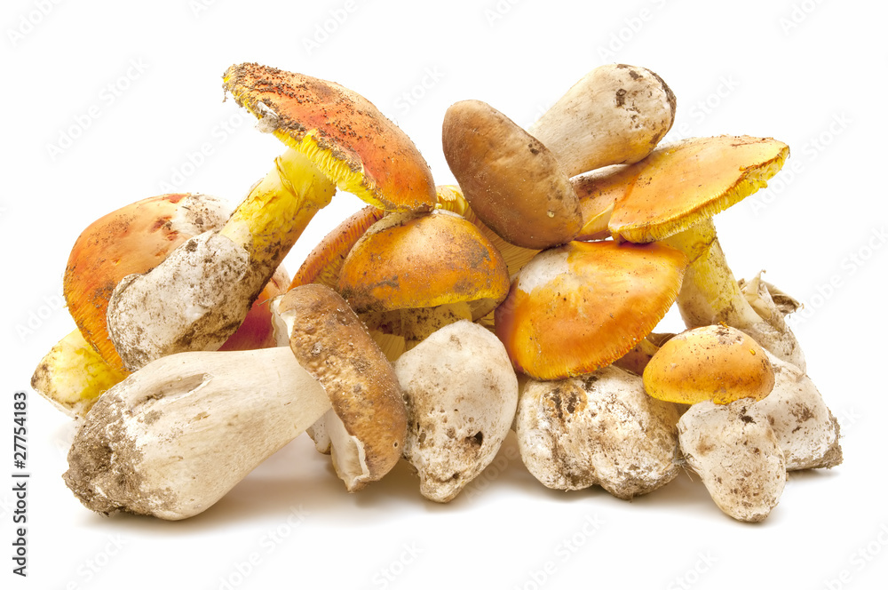 Fototapeta premium amanita caesarea and boletus edulis