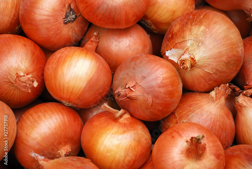 Background from a crop onion