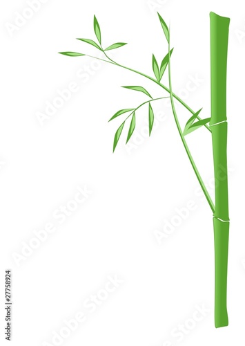Illustration of a bamboo stick