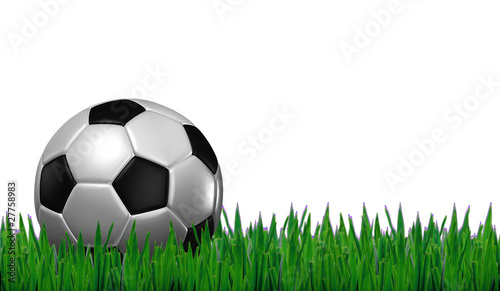football on grass with white background