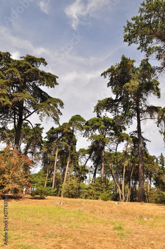 Natureza