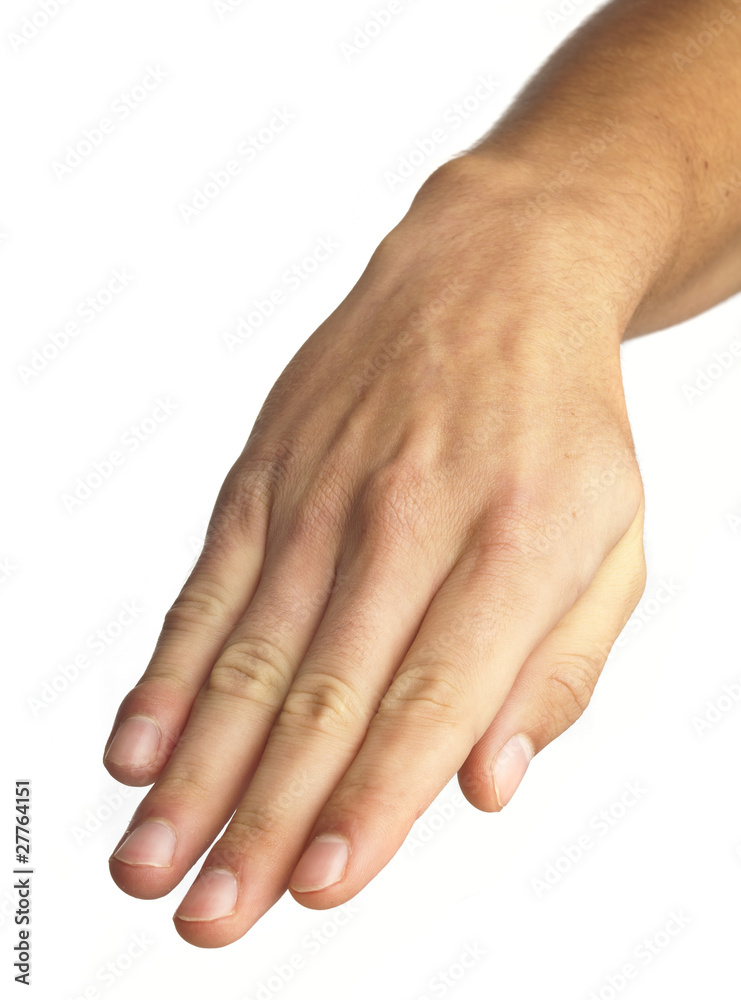 Fototapeta premium hand