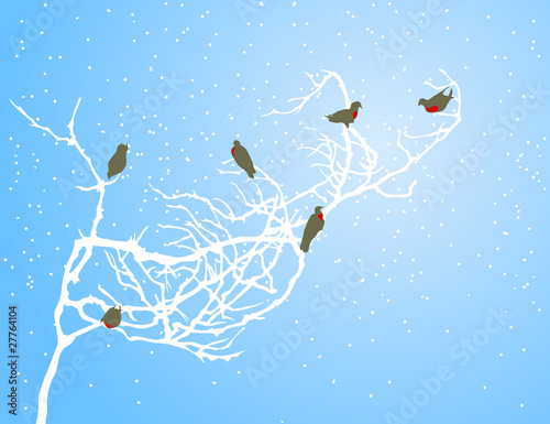 Bullfinches on a branch