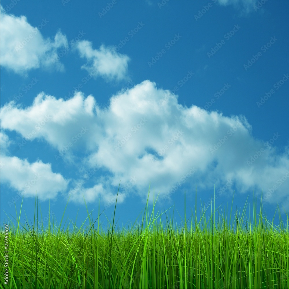 Green grass over a blue sky background