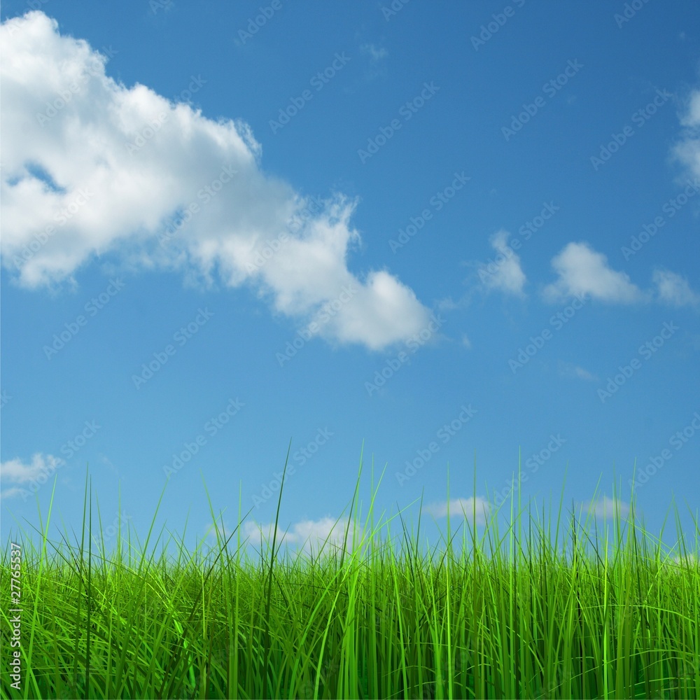 Green grass over a blue sky background Green grass over a blue sky background