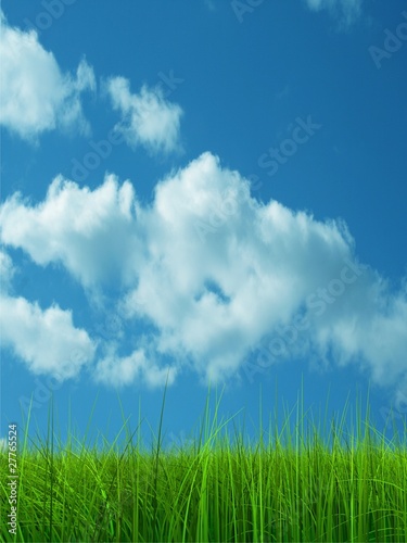 Green grass over a blue sky background