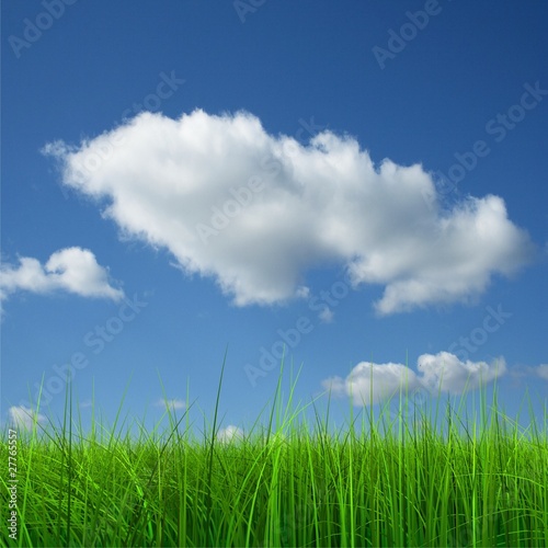 Green grass over a blue sky background