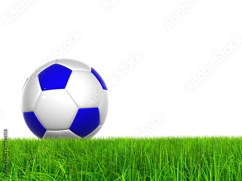 High resolution 3D soccer ball in green grass isolated