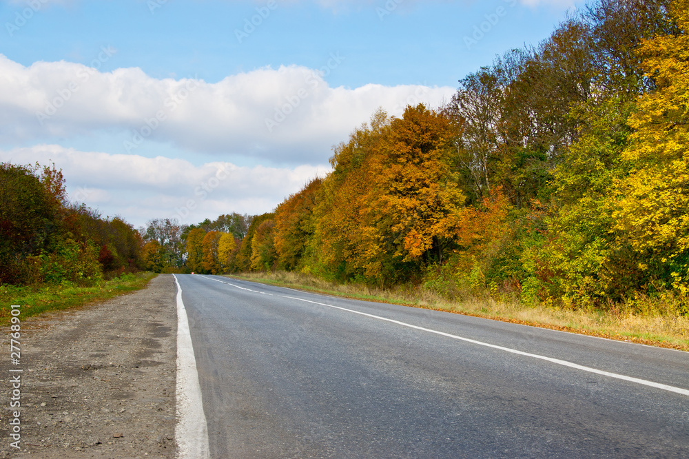 Suburban autumn fall road at sunny day Suburban autumn fall road at sunny day