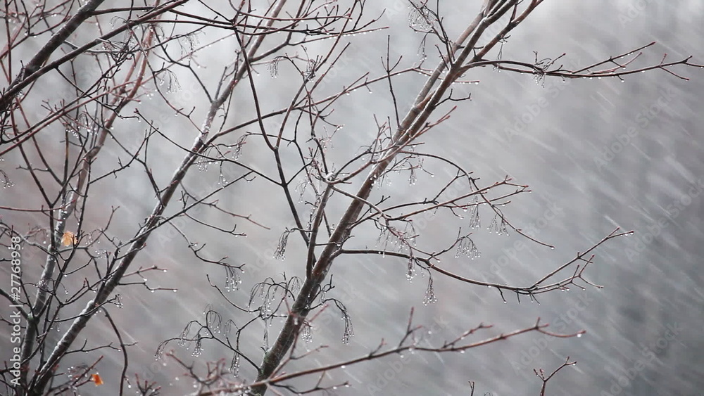 First snow and wind First snow and wind