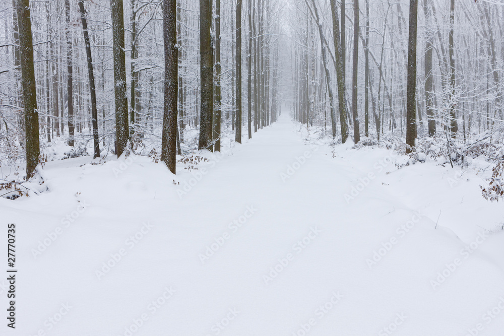 snowy road, Czech Republic