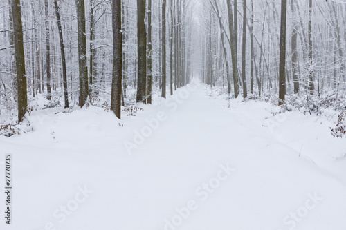 snowy road, Czech Republic