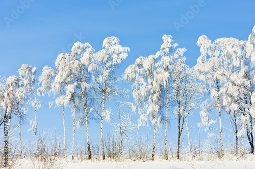 Wallpaper Mural winter landscape, Czech Republic Torontodigital.ca