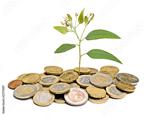 Tree growing from pile of coins