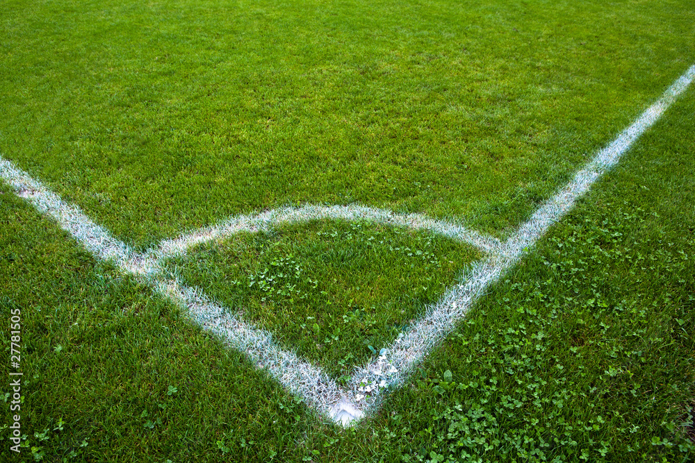 Sport grounds concept - Football/soccer pitch (color toned image