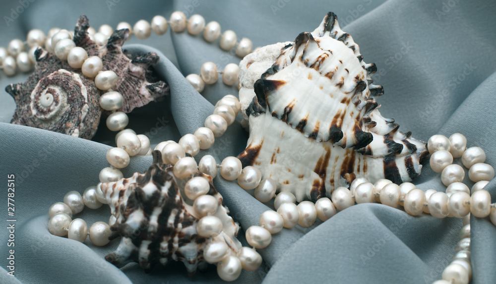 Shells and pearl Shells and pearl