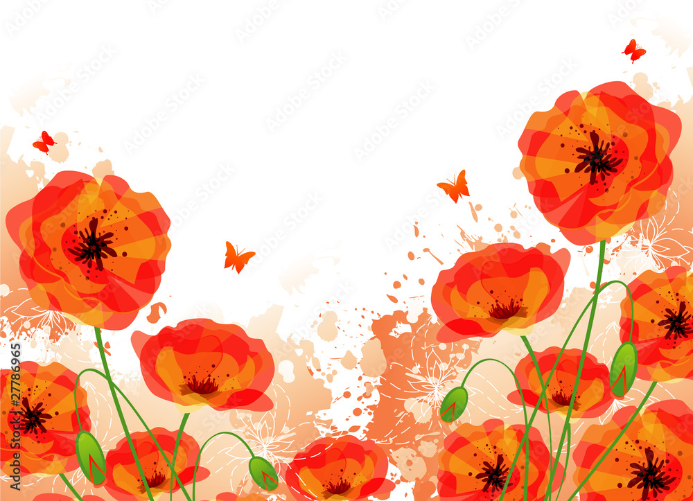 Fototapeta premium Red poppies back