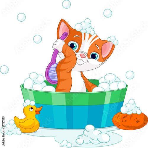 Cat having a  bath