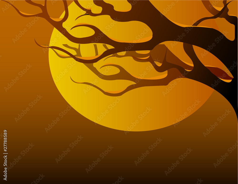 Naklejka premium A tree branch at sunset