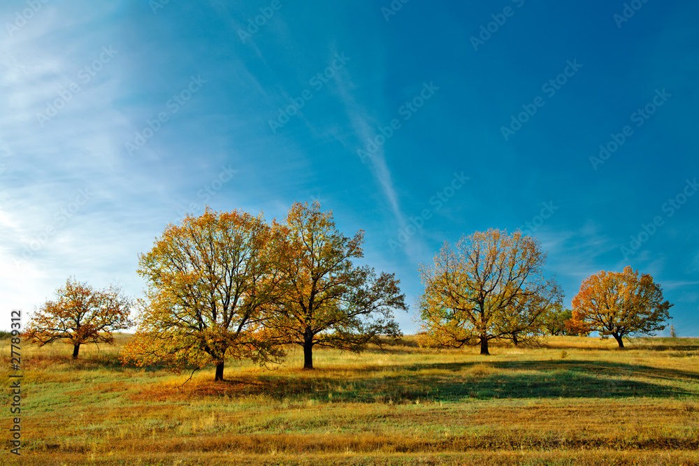 Fototapeta premium autumn landscape