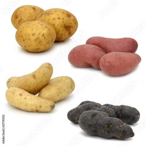 Pommes de terre (4 variétés)