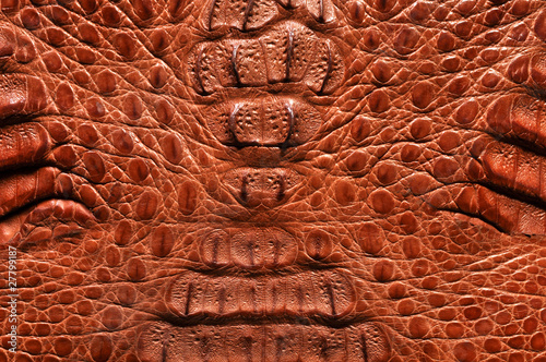 Crocodile leather texture