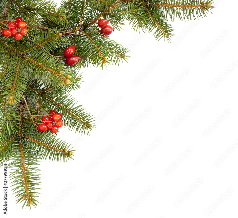 corner, branch of fir and dried red berries