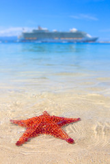Fototapete Karibik a starfish and a cruise ship  © Elena Zarubina