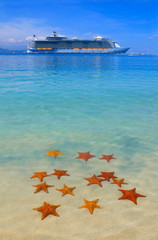 Fototapete Karibik viele Seesterne in der Karibik und ein Kreuzfahrtschiff  © Elena Zarubina