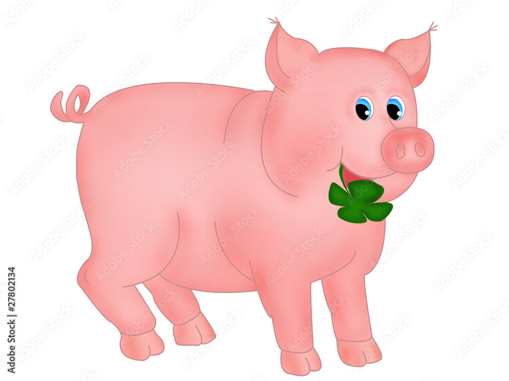Pig with clover Pig with clover