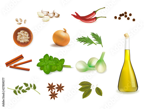 Group of spices. Vector illustration.