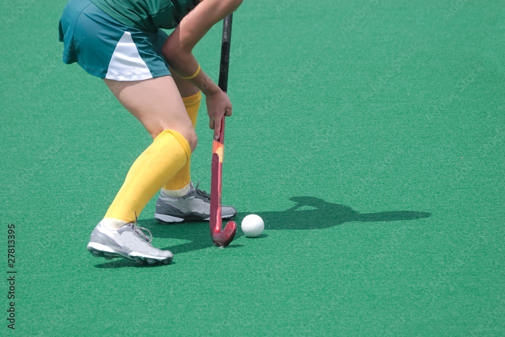 Obraz premium Field Hockey