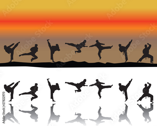 taekwondo