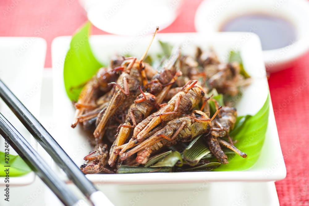 Locusts as food