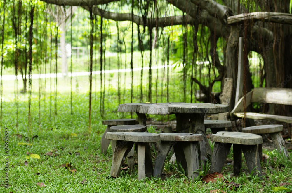 table and chair in cozy park