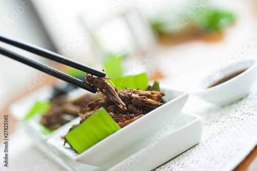 Protein rich food