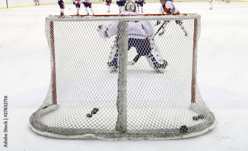 Naklejka premium hockey